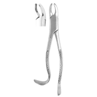 Extracting Forceps #18R