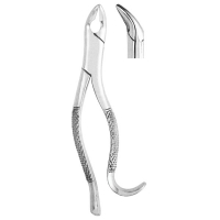 Extracting Forceps #288