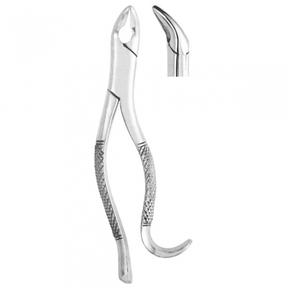 Extracting Forceps #288