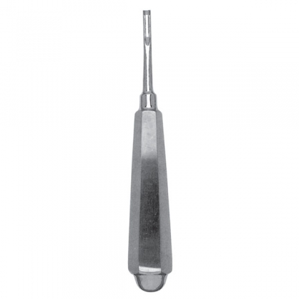 Coupland Bone Chisel #2
