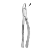 Extracting Forceps #150