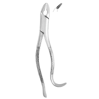 Extracting Forceps #85A