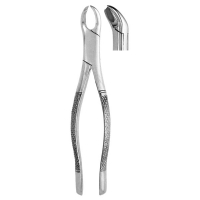 Extracting Forceps #90