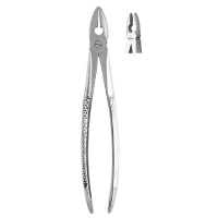 Extracting Forceps #MD1