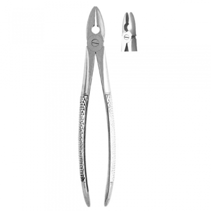 Extracting Forceps #MD1