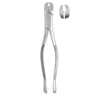Extracting Forceps #5