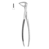 Extracting Forceps #74N - English Pattern
