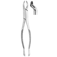 Extracting Forceps #217