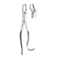 Extracting Forceps #10H