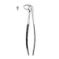 Extracting Forceps #22 - English