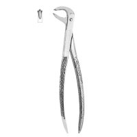 Extracting Forceps #73 - English