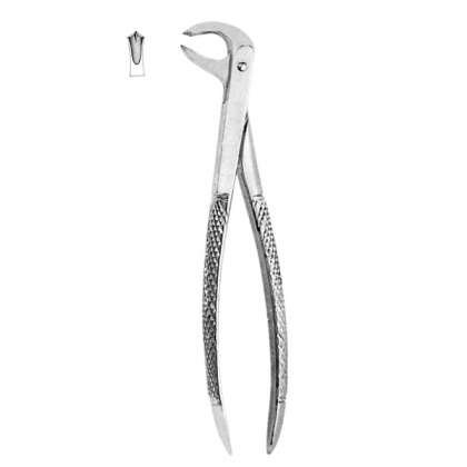 Extracting Forceps #73 - English
